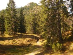 2013-10-26_Schildenstein (251).JPG